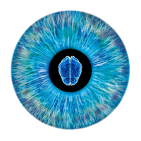 NeurOptics jobs