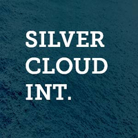Silver Cloud jobs