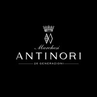 Marchesi Antinori jobs