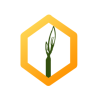 Growth Hive jobs