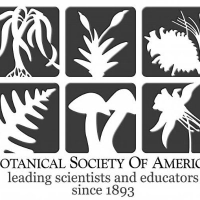 Botanical Society of America jobs