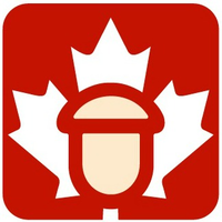 Toronto ACORN Community Organizer