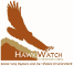 HawkWatch International jobs