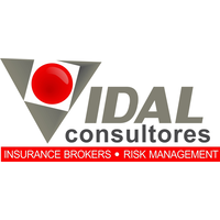 Vidal Consultores jobs