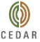 Cedar Management Consulting International jobs