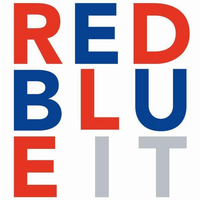 RedBlue IT Professionals BV jobs