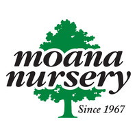 Moana Nursery jobs