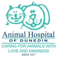 Animal Hospital of Dunedin jobs