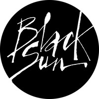 Black Sun plc jobs