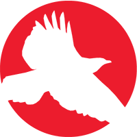 Red Hawk Technologies, LLC jobs