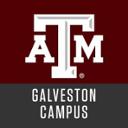 Texas A&M University at Galveston jobs