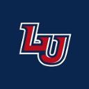 Liberty University jobs
