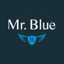 Mr Blue jobs