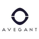 Avegant jobs