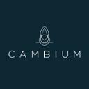 The Cambium Group jobs