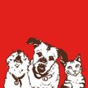 Stella & Chewy's jobs