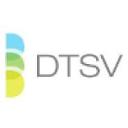 DTSV, Inc. jobs