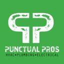 Punctual Pros jobs