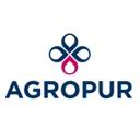Project Manager – PMO - Information Technology