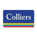 Colliers jobs