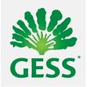 German European School Singapore jobs
