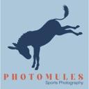 PhotoMules jobs