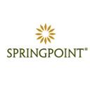 Springpoint jobs