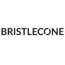 Bristlecone jobs