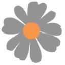 Flores Concepts jobs
